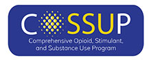 logo wyoming county comprehensive opioid and substance use program